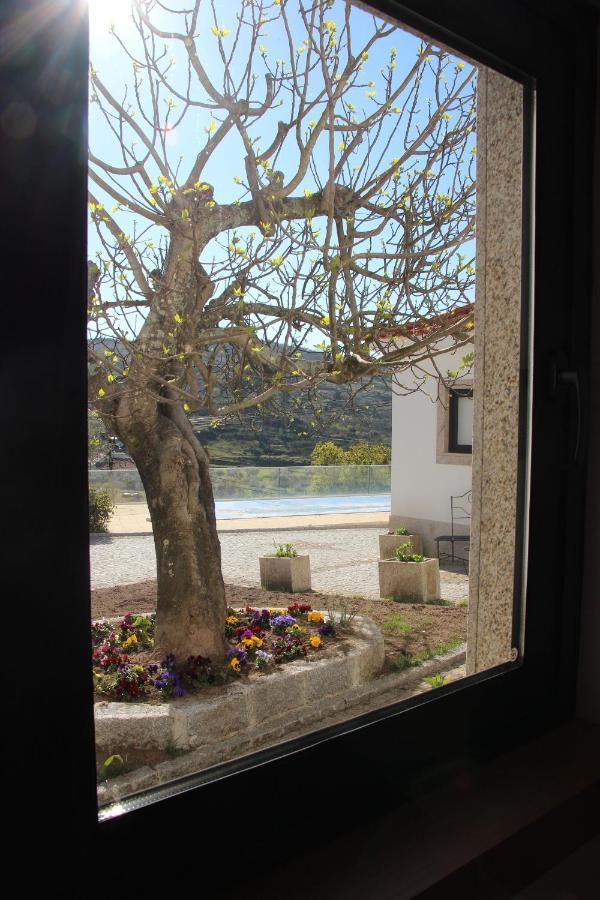Casas Do Aidro Guest House Freches ภายนอก รูปภาพ